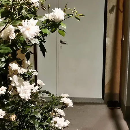 Cozy Ro Apartman *